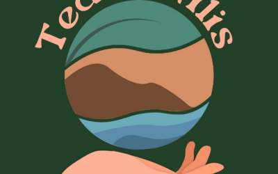 Teduh Wilis, Go Green Online Campaign Formed by Undip Student Association of Communication Studies