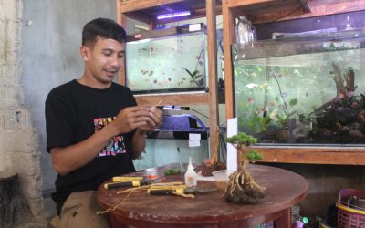 Storytelling Marketing Jadi Jurus Jitu UMKM Anto Aquarium & Art Tembus Pasar Digital